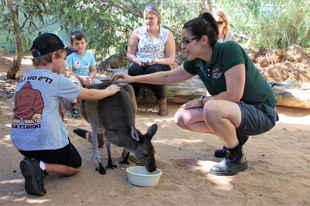 14 Things You Didn’t Know You Could Do at Perth Zoo