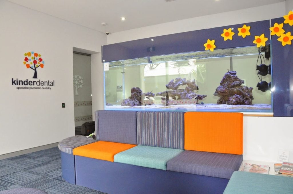 Kinderdental Paediatric Dentist, Claremont