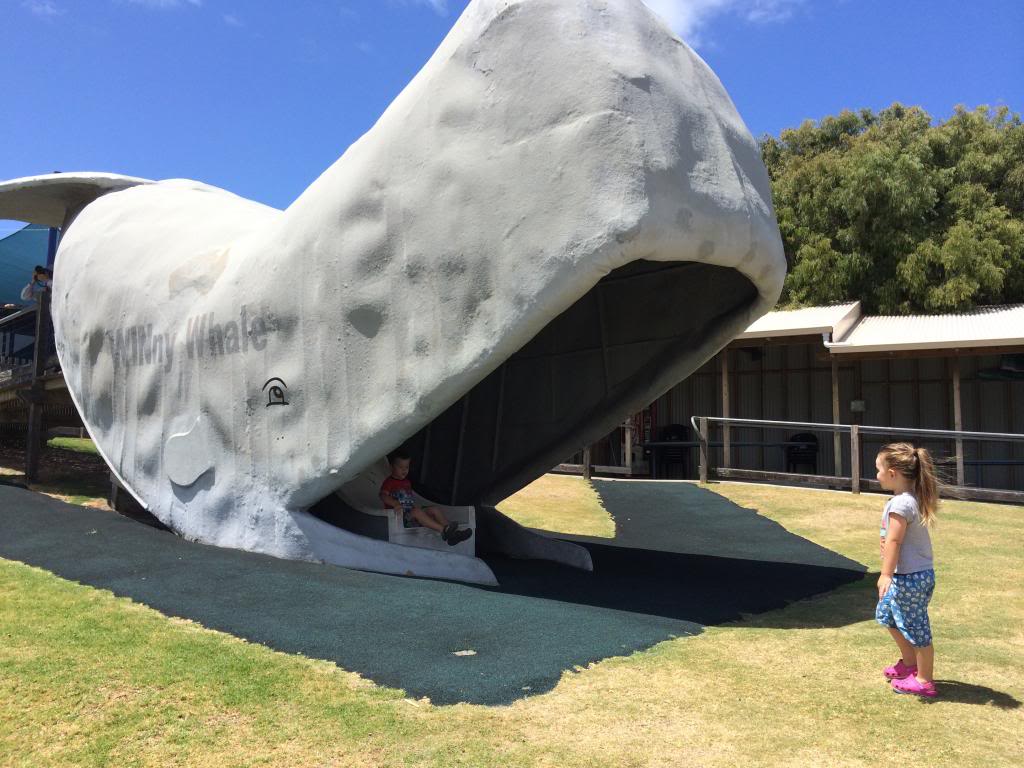 Whale World Albany - Buggybuddys guide to Perth