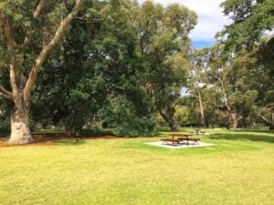 Variety Place Playground, Kings Park