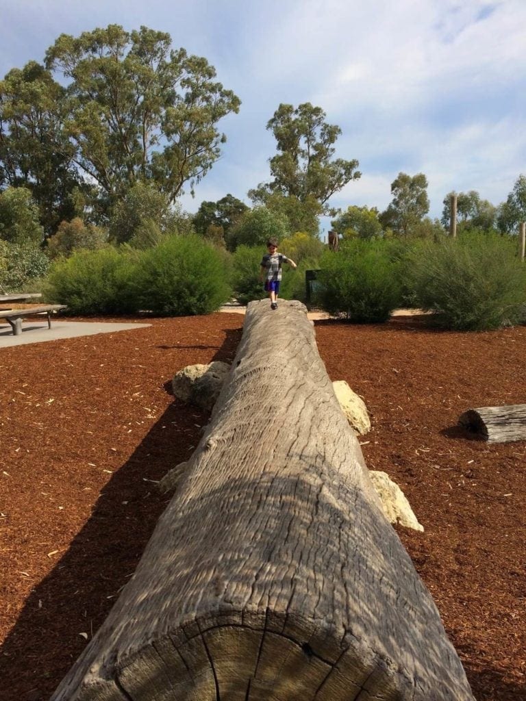 Variety Place Playground, Kings Park