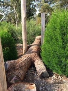 Variety Place Playground, Kings Park