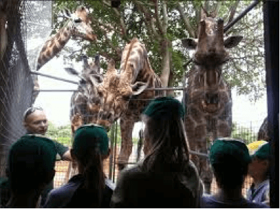 Zoo Crew, Perth Zoo