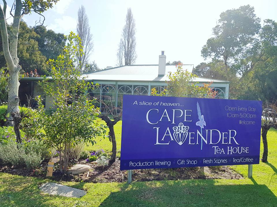 Cape Lavender Teahouse, Yallingup