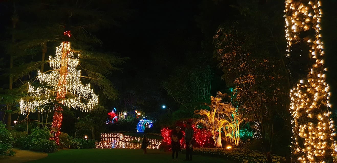 The Magic of Christmas at Wanneroo Botanic Gardens