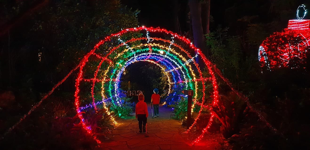 The Magic Of Christmas At Wanneroo Botanic Gardens Buggybuddys Guide To Perth