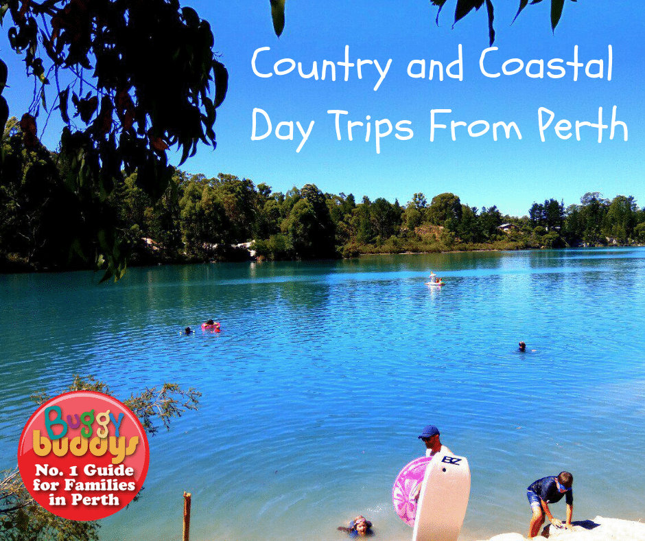Country and Coastal Day Trips from Perth
