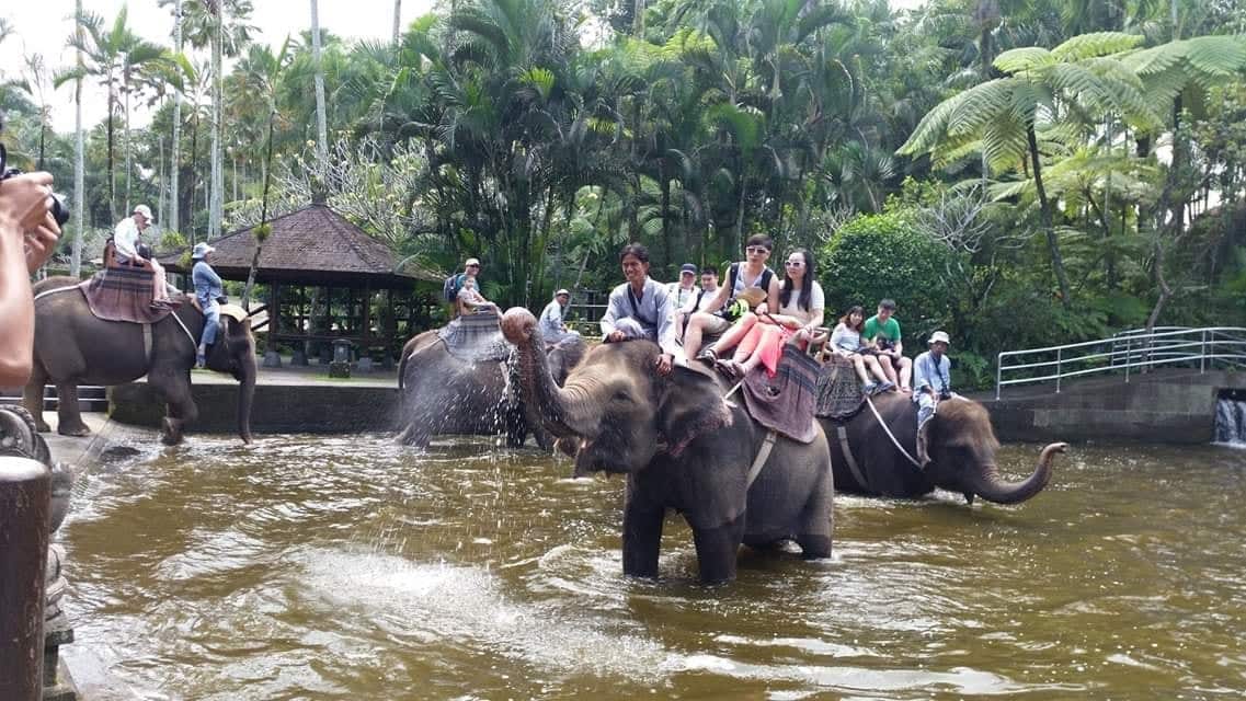 Elephant Safari Park, Bali