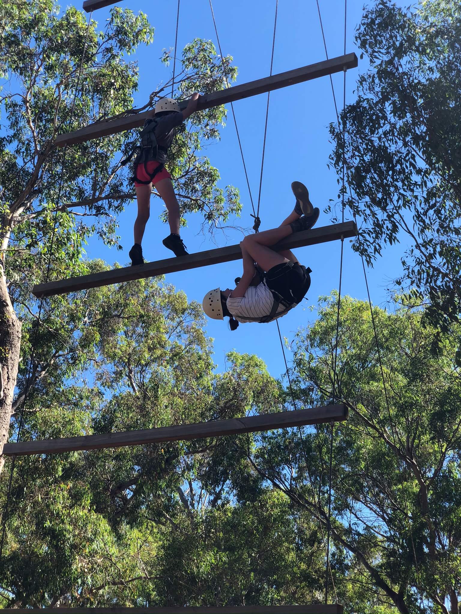 Swan Valley Adventure Centre Buggybuddys guide for families in Perth