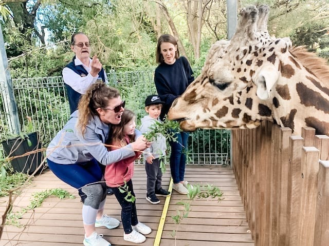 Close Encounters Perth Zoo