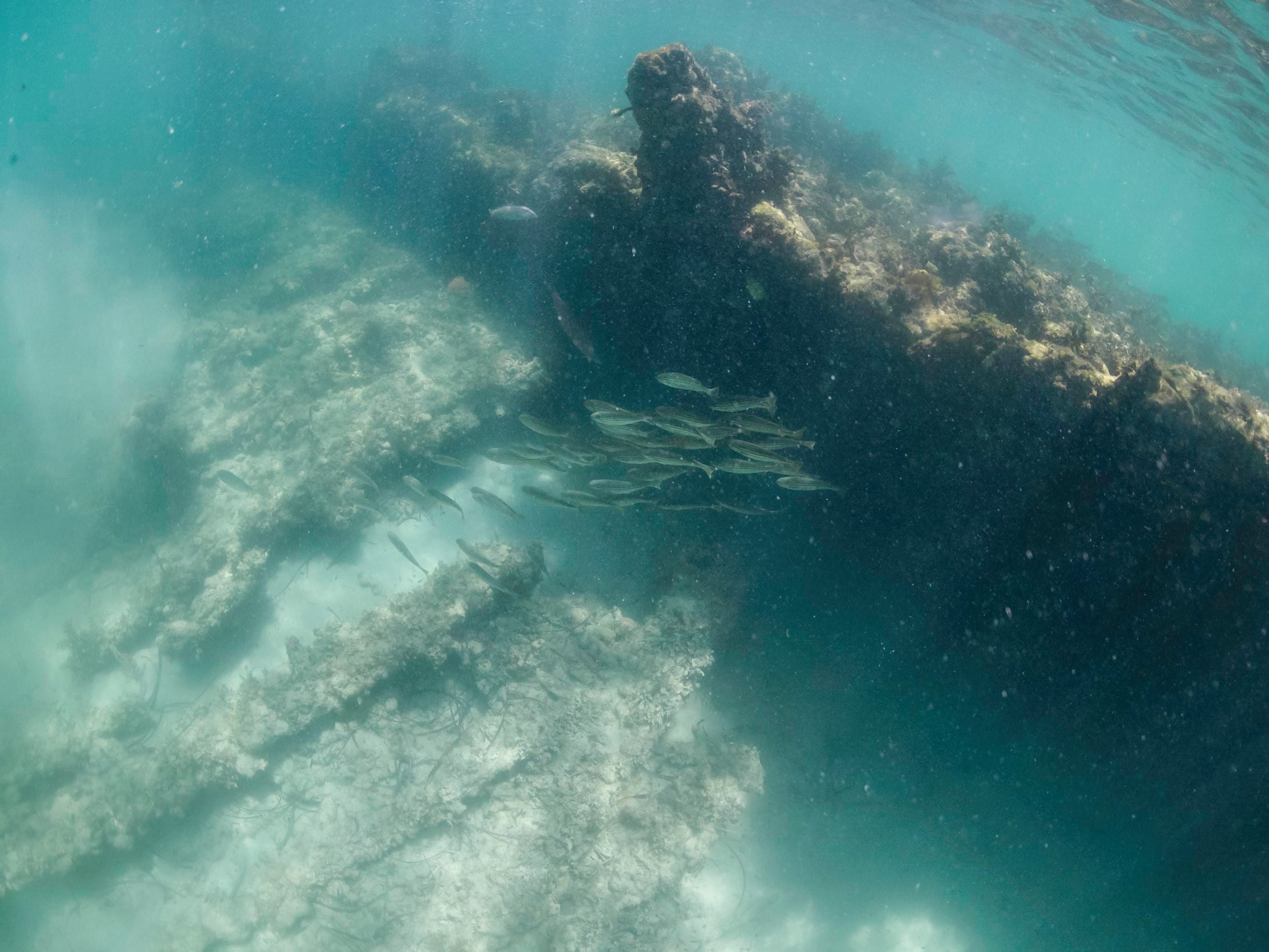 Omeo Shipwreck Dive Trail