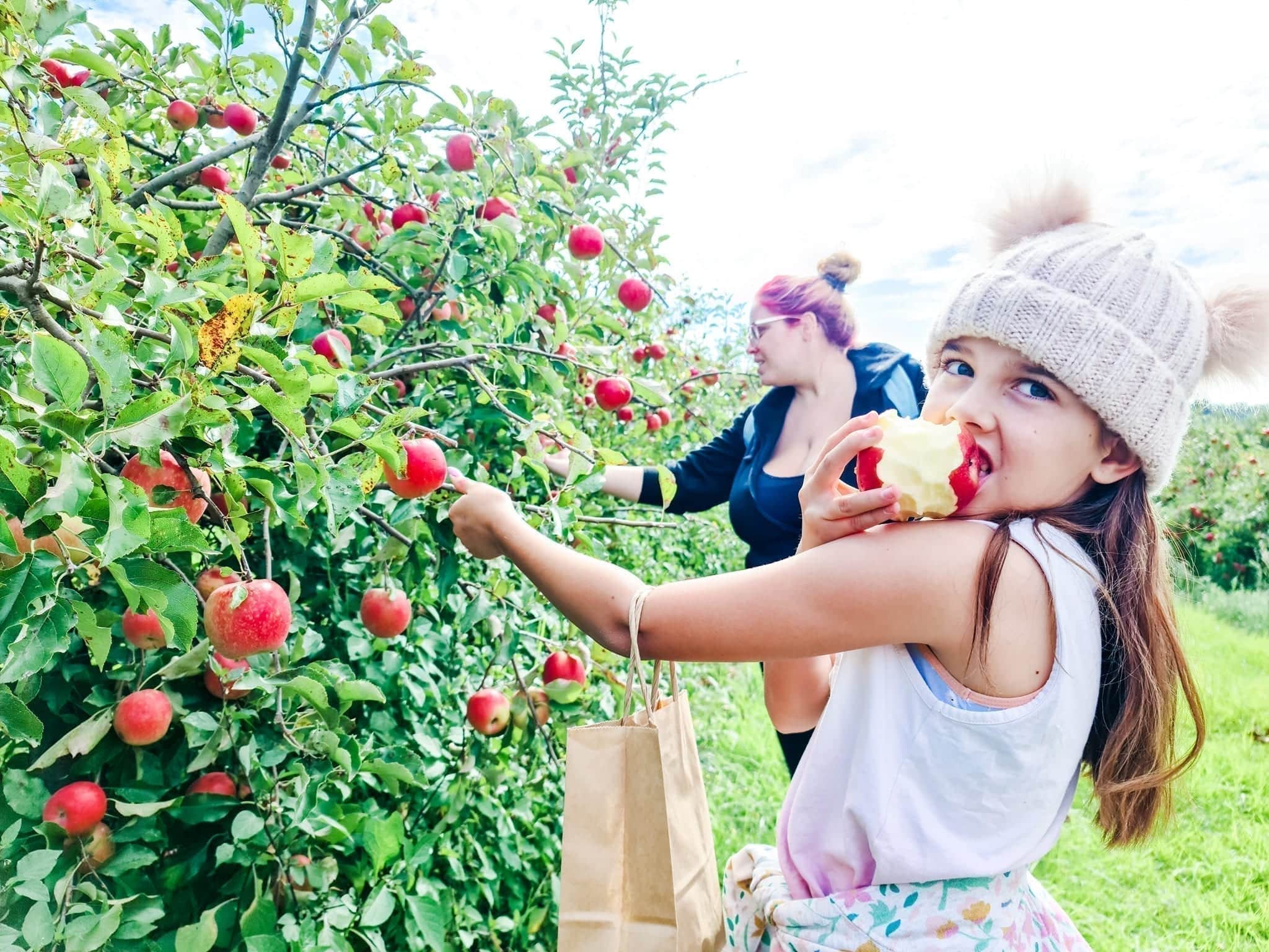Apple Picking Tour at Core Cider House